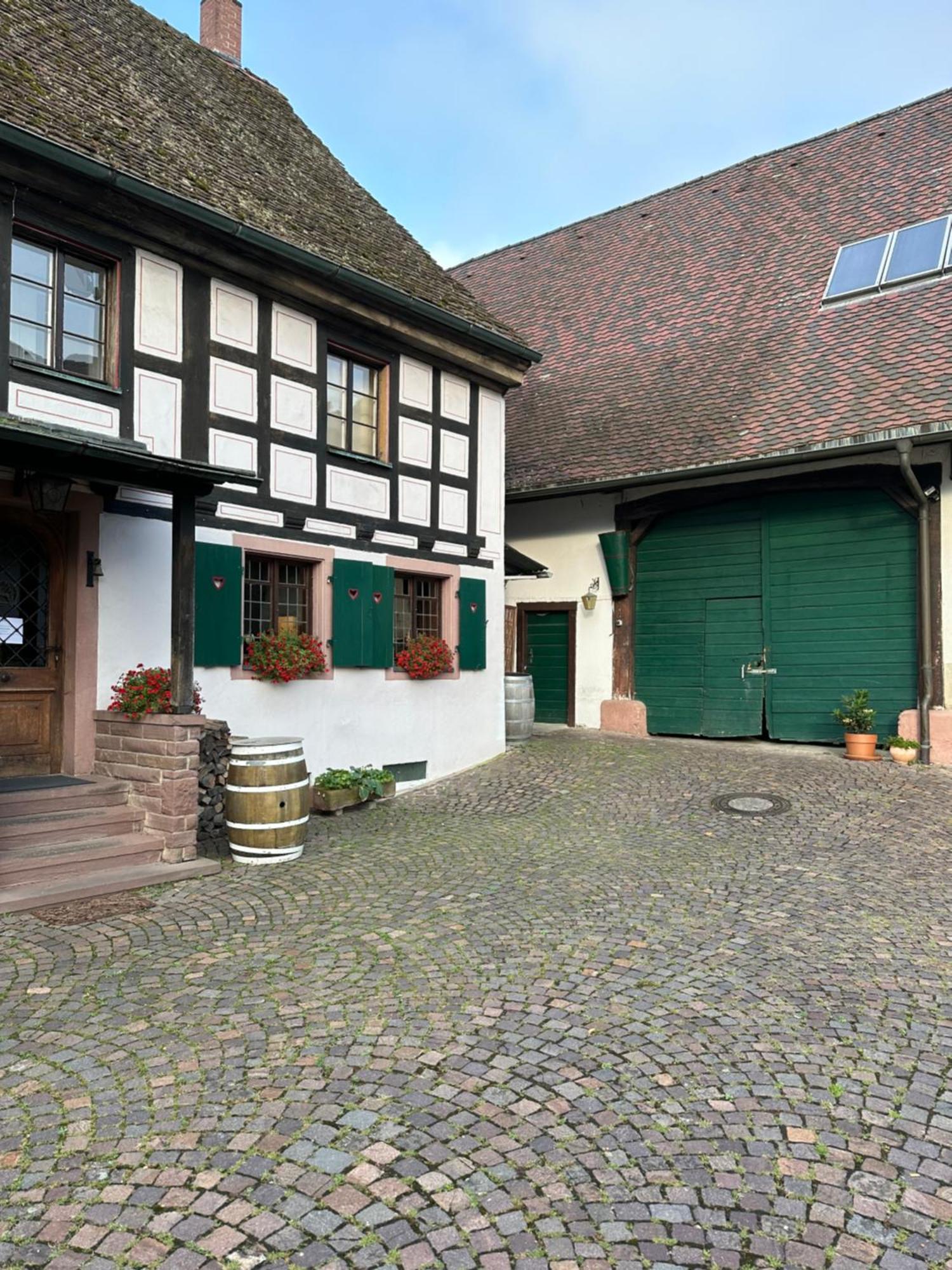 Exklusive Maisonette-wohnung Am Rande Von Freiburg * Merzhausen