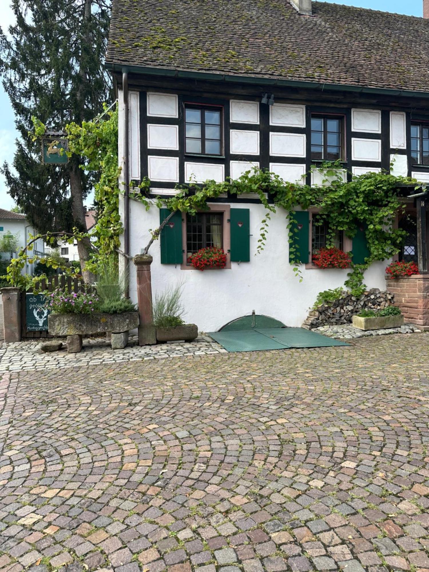 Exklusive Maisonette-wohnung Am Rande Von Freiburg Apartment Merzhausen